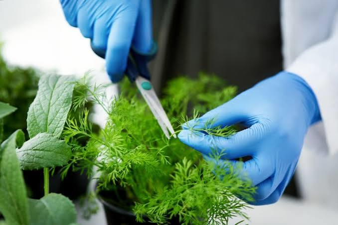 Biotechnology Illustration